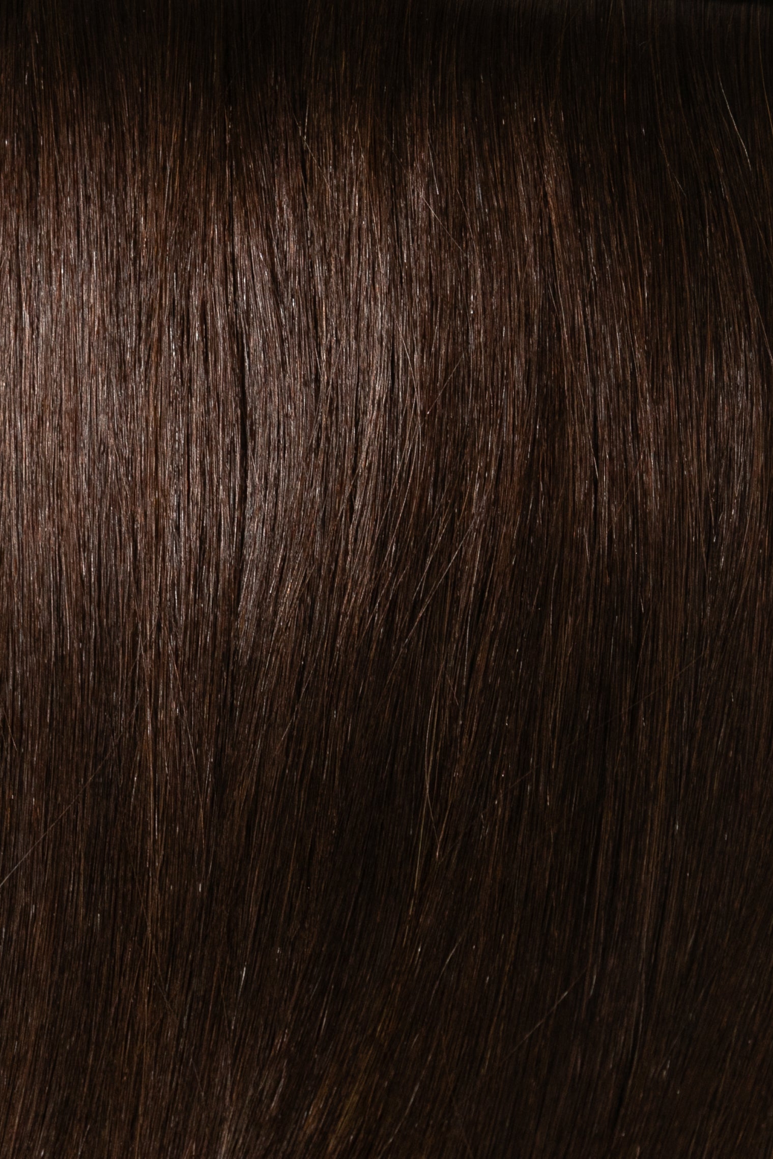 Elle Clip In Collection